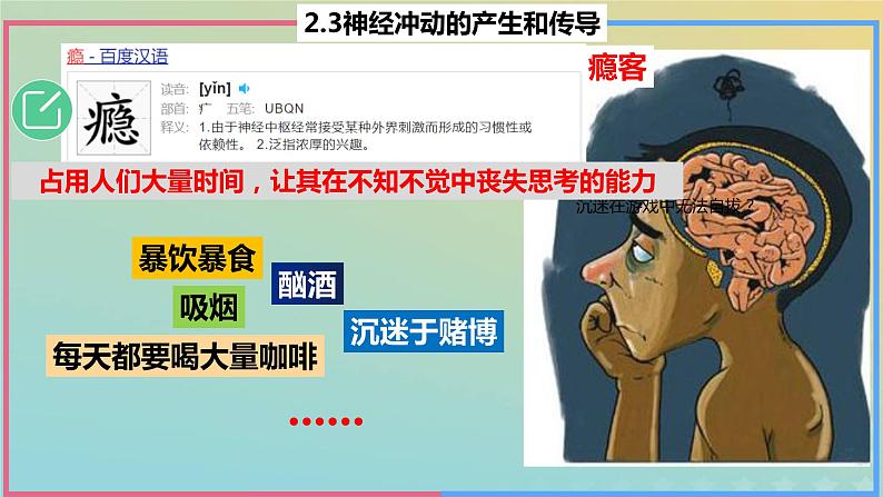 2023_2024学年同步备课精选高中生物2.3神经冲动的产生与传导第3课时课件新人教版选择性必修1第4页