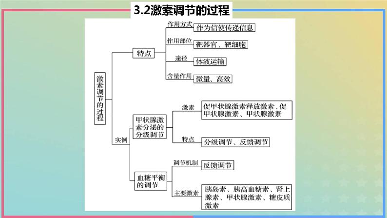 2023_2024学年同步备课精选高中生物3.2激素调节的过程第2课时课件新人教版选择性必修1第3页