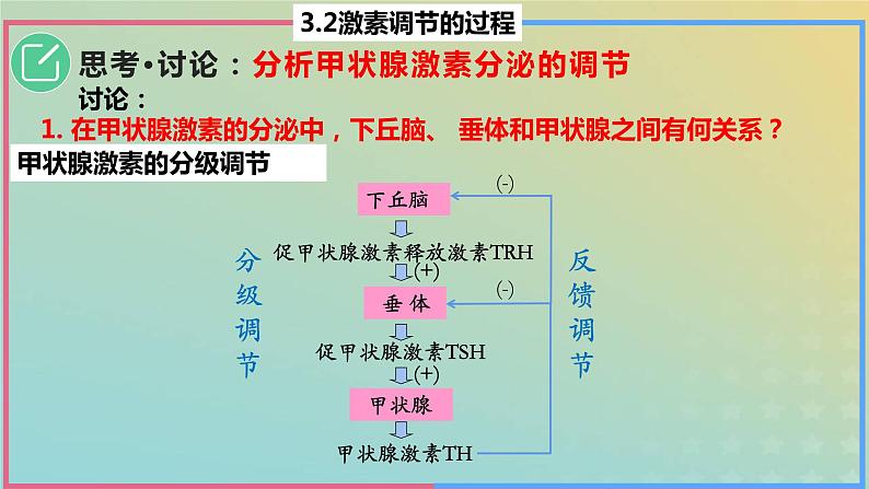 2023_2024学年同步备课精选高中生物3.2激素调节的过程第2课时课件新人教版选择性必修1第8页