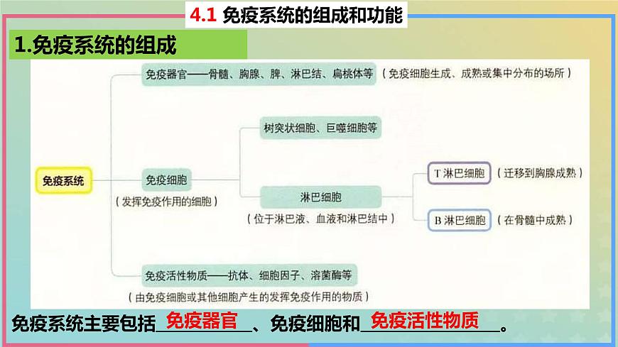 2023_2024學(xué)年同步備課精選高中生物4.1免疫系統(tǒng)的組成和功能課件新人教版選擇性必修1第5頁