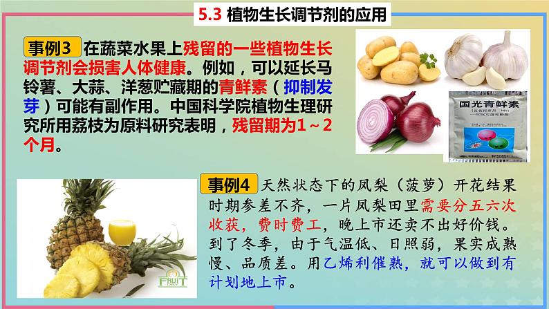 2023_2024学年同步备课精选高中生物5.3植物生长调节剂的应用课件新人教版选择性必修1第8页