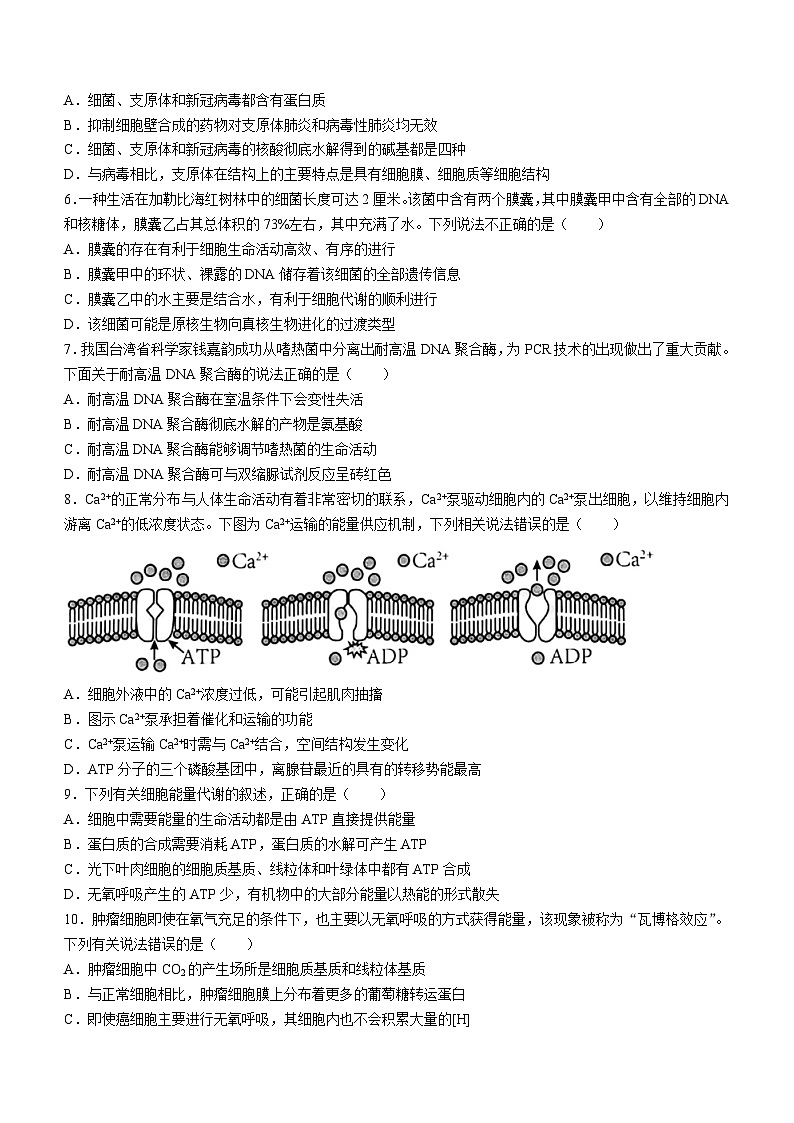 辽宁省锦州市渤海大学附属高级中学2024届高三上学期第二次考试 生物第2页