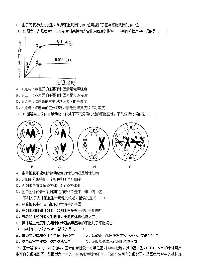辽宁省锦州市渤海大学附属高级中学2024届高三上学期第二次考试 生物第3页