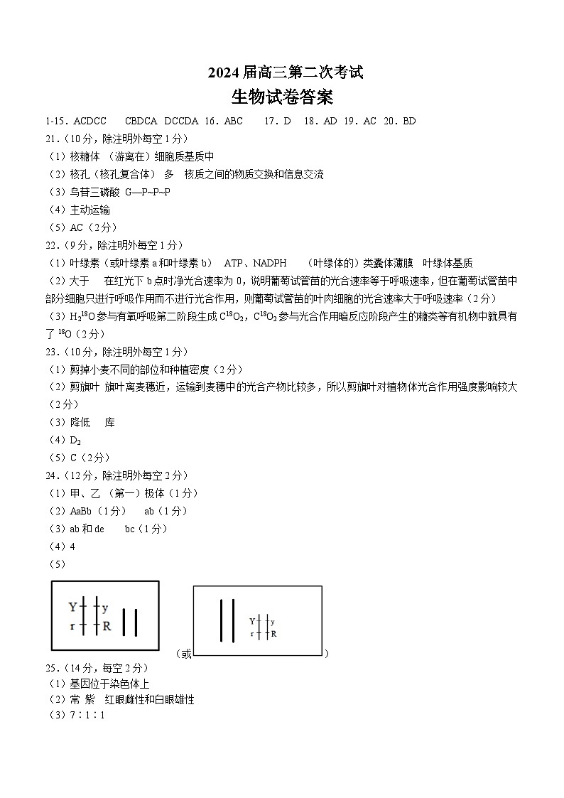 辽宁省锦州市渤海大学附属高级中学2024届高三上学期第二次考试 生物答案第1页