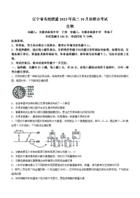 2023辽宁省名校联盟高二10月份联合考试生物试题含答案