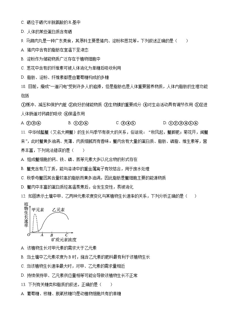 2024沈阳二中高一上学期10月阶段测试生物含解析第3页