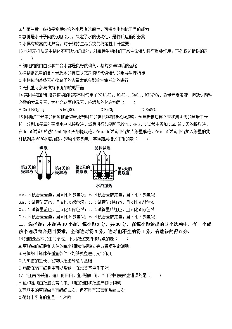 2024辽宁省名校联盟高一上学期10月联合考试生物试题含答案03