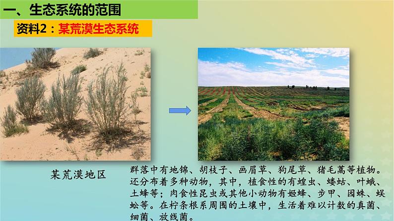 2023_2024学年同步备课精选高中生物3.1生态系统的结构课件新人教版选择性必修2第7页