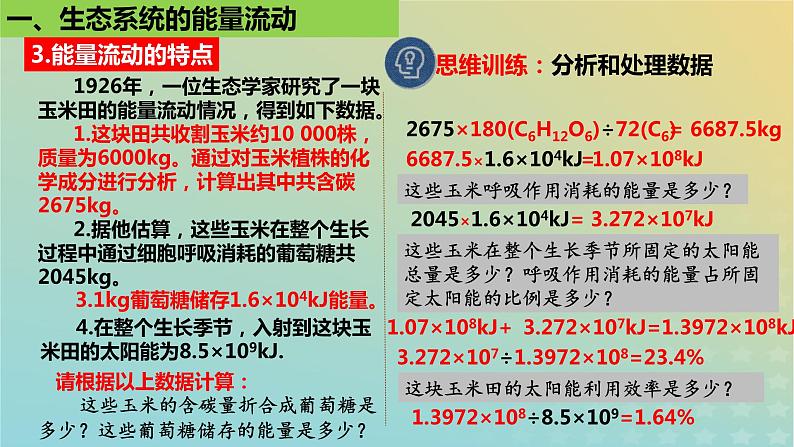 2023_2024学年同步备课精选高中生物3.2生态系统的能量流动第2课时课件新人教版选择性必修2第5页