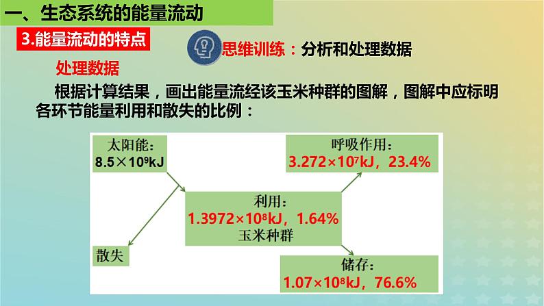 2023_2024学年同步备课精选高中生物3.2生态系统的能量流动第2课时课件新人教版选择性必修2第6页