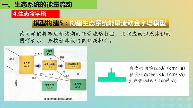 2023_2024学年同步备课精选高中生物3.2生态系统的能量流动第2课时课件新人教版选择性必修2第7页