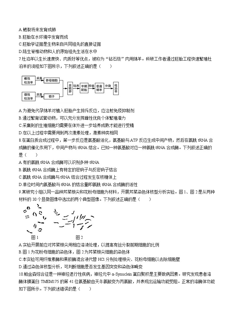 浙江省江浙高中(县中)发展共同体2023-2024学年高三生物上学期10月联考试题(Word版附答案)第2页