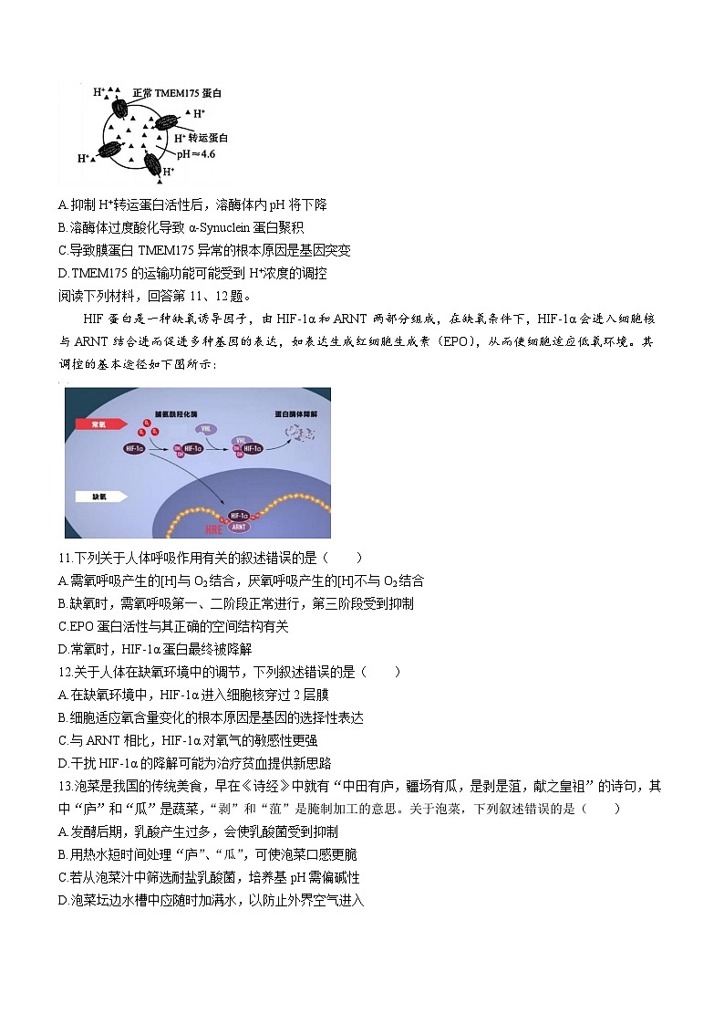 浙江省江浙高中(县中)发展共同体2023-2024学年高三生物上学期10月联考试题(Word版附答案)第3页