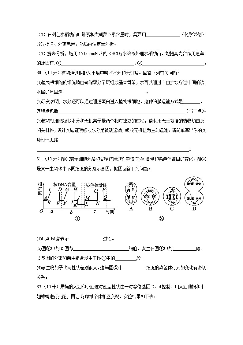 四川省射洪中学2024届高三生物上学期10月月考试题(补习班)(Word版附解析)03