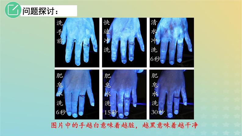 2023_2024学年同步备课精选高中生物1.2种群的数量变化第1课时课件新人教版选择性必修2第6页