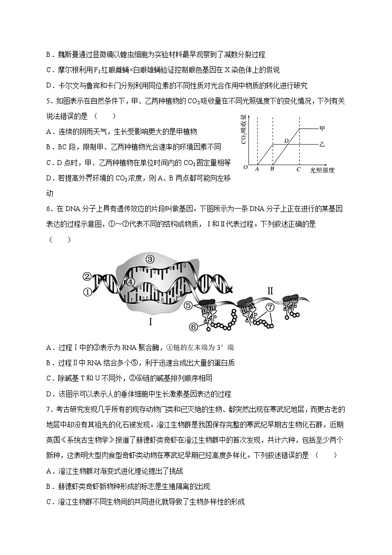 广东省四校2023-2024学年高三生物上学期联考(二)试题(Word版附答案)02