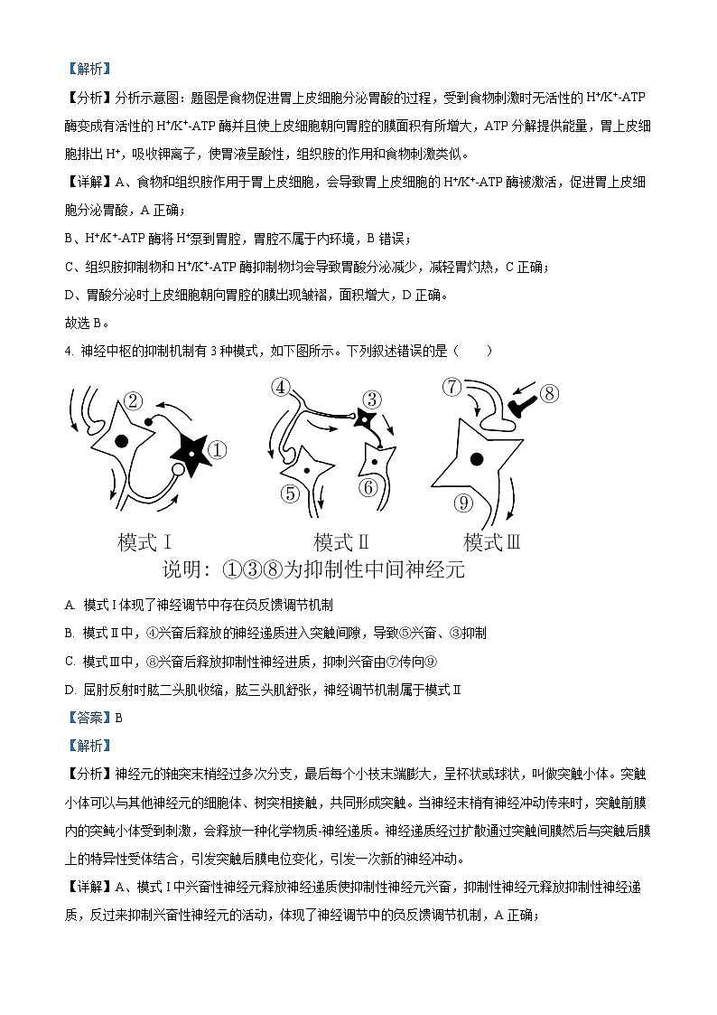 湖北省武汉市第二中学2023-2024学年高二生物上学期10月月考试题(Word版附解析)第3页