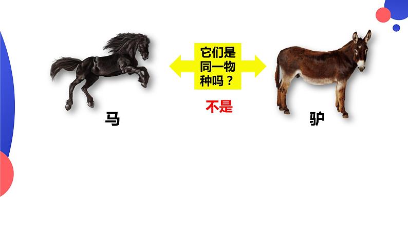 6.3.2《隔离在物种形成中的作用》。pptx第2页