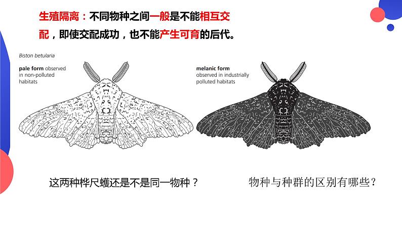 6.3.2《隔离在物种形成中的作用》。pptx第6页