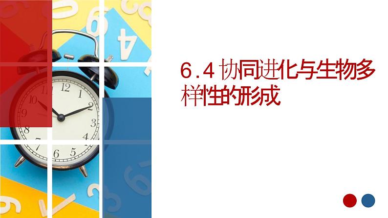 6.4《协同进化与生物多样性的形成》。课件PPT01
