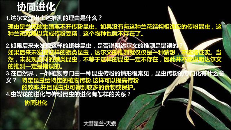 6.4《协同进化与生物多样性的形成》。课件PPT02