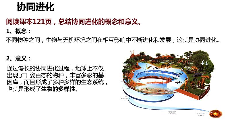 6.4《协同进化与生物多样性的形成》。课件PPT07