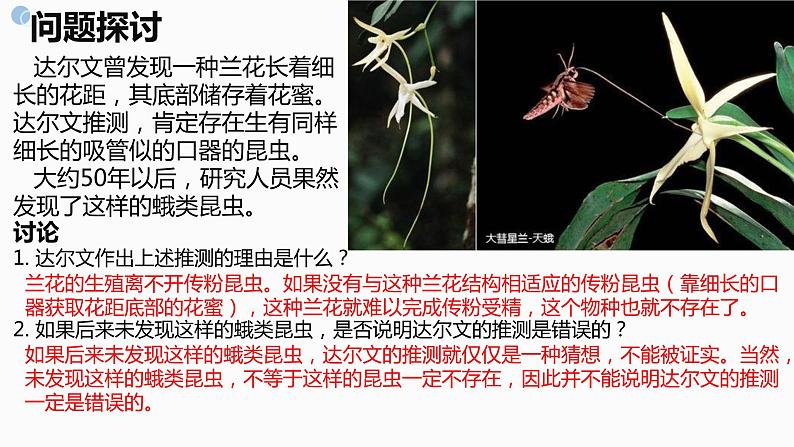 6.4《协同进化与生物多样性的形成》。。课件PPT第2页