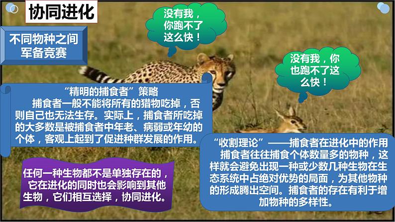 6.4《协同进化与生物多样性的形成》。。课件PPT第4页