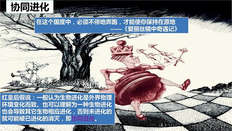 6.4《协同进化与生物多样性的形成》。。课件PPT第5页