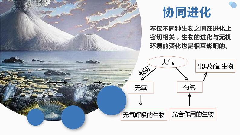 6.4《协同进化与生物多样性的形成》。。课件PPT第6页