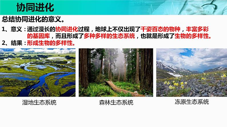 6.4《协同进化与生物多样性的形成》。。课件PPT第7页