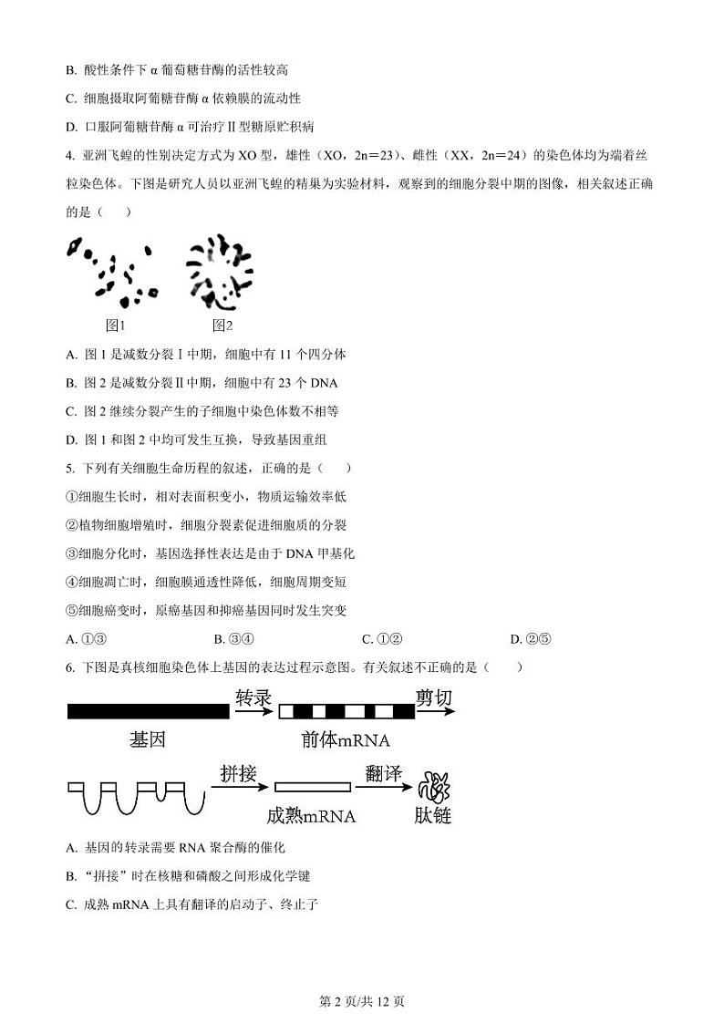江苏省常州市联盟学校2024届高三上学期10月学情调研生物第2页
