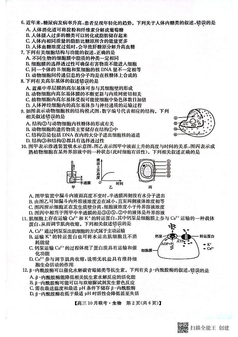 2024安康重点名校高三上学期10月联考生物试题扫描版含解析第2页