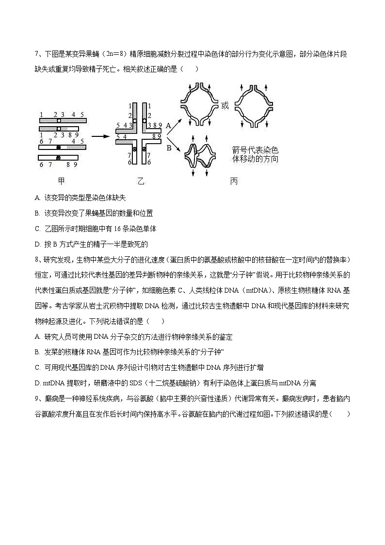 新高考生物模拟试卷07(原卷版+解析版)第3页