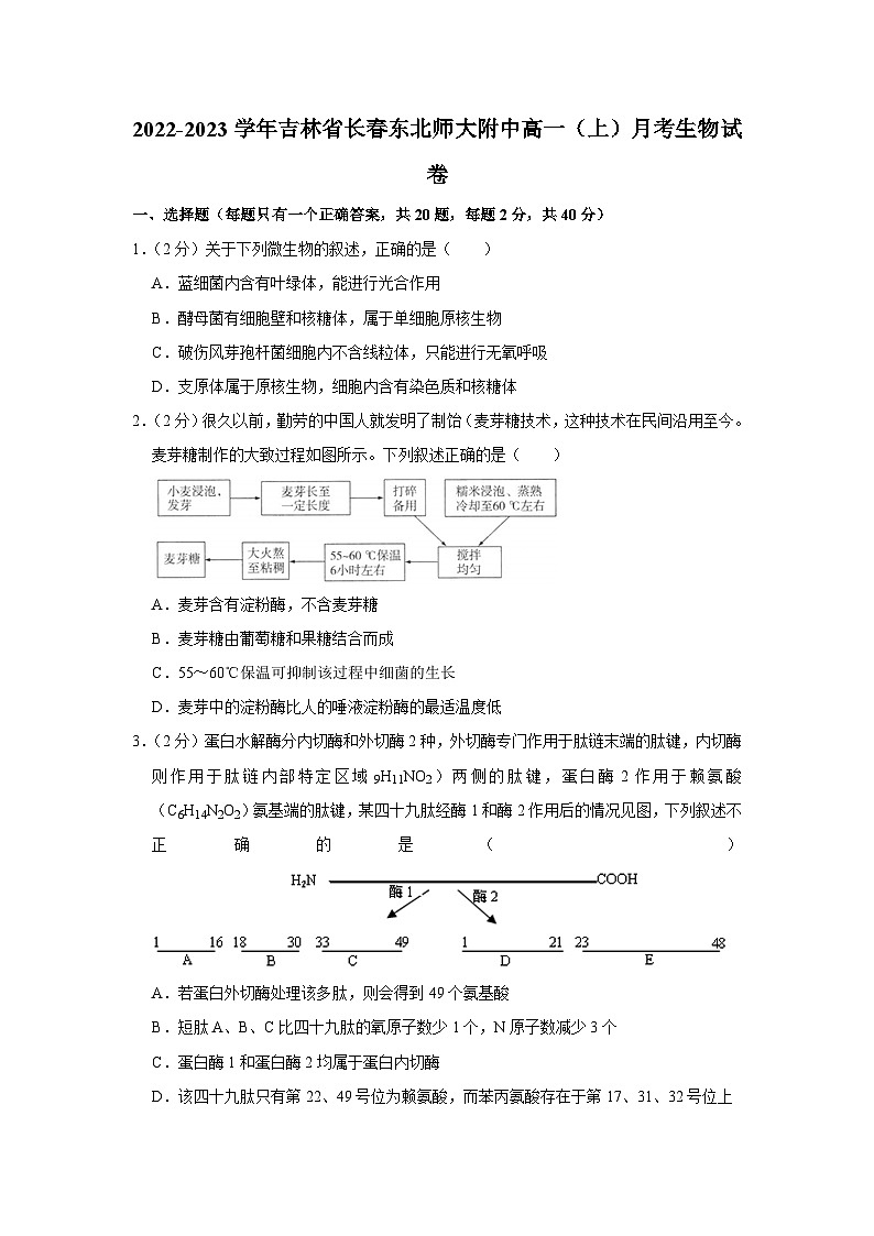 吉林省东北师范大学附属中学2022-2023学年高一上学期阶段考试生物试题(月考)第1页