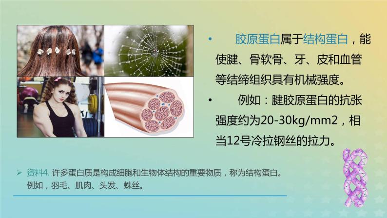 新教材2023年秋高中生物2.4蛋白质是生命活动的主要承担者课件新人教版必修104