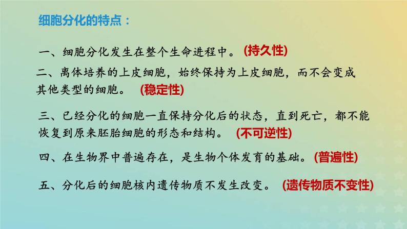 新教材2023年秋高中生物6.2细胞的分化课件新人教版必修104