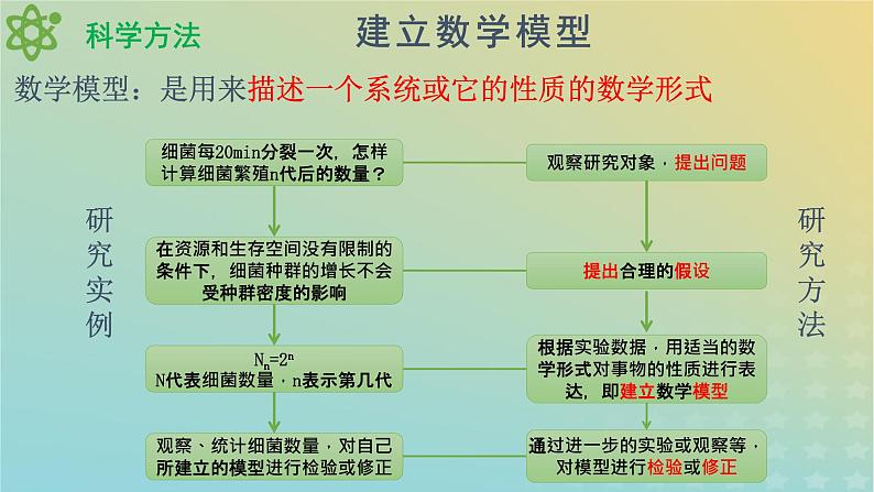 新教材同步备课系列2023高中生物1.2种群数量的变化课件新人教版选择性必修2第4页