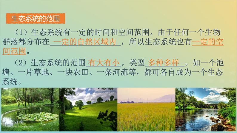 新教材同步备课系列2023高中生物3.1生态系统的结构课件新人教版选择性必修2第6页