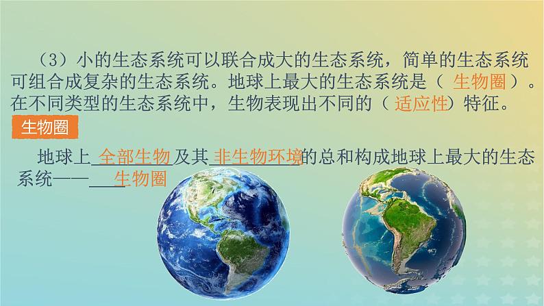 新教材同步备课系列2023高中生物3.1生态系统的结构课件新人教版选择性必修2第7页