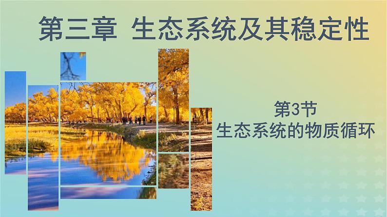 新教材同步备课系列2023高中生物3.3生态系统的物质循环课件新人教版选择性必修2第1页