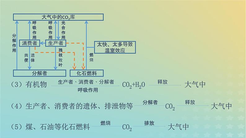 新教材同步备课系列2023高中生物3.3生态系统的物质循环课件新人教版选择性必修2第8页
