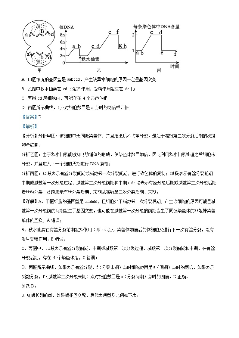 重庆市育才中学2023-2024学年高二生物上学期10月月考试题（Word版附解析）02