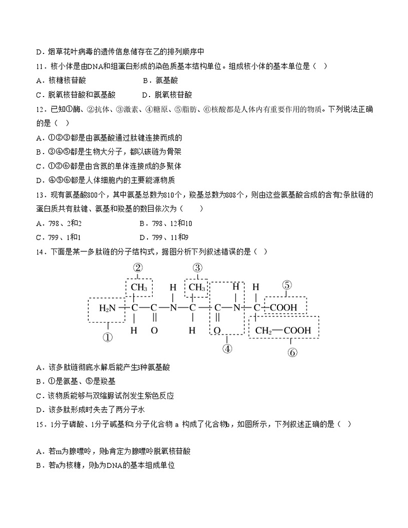 (江苏专用)2023-2024学年高一生物上学期 第一次月考A卷(学生卷)A4版第3页