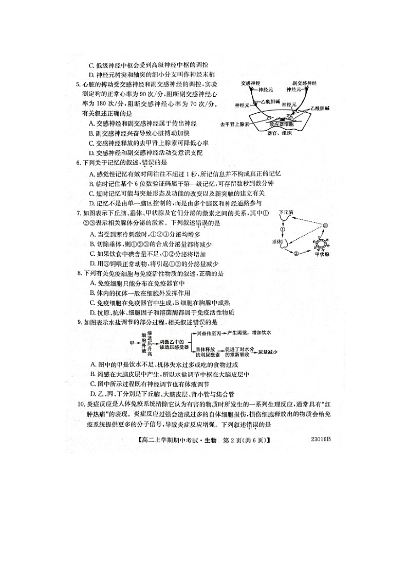 2023届黑龙江省齐齐哈尔市普高联谊校高二上学期生物期中考试题02
