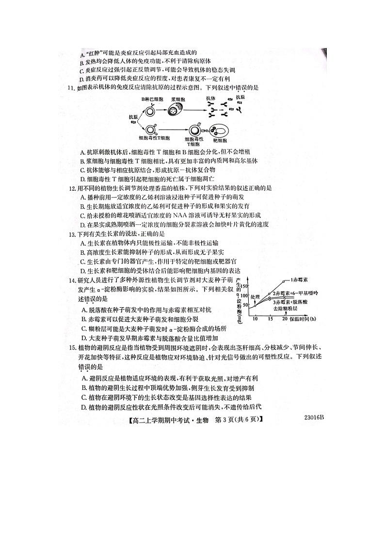 2023届黑龙江省齐齐哈尔市普高联谊校高二上学期生物期中考试题03