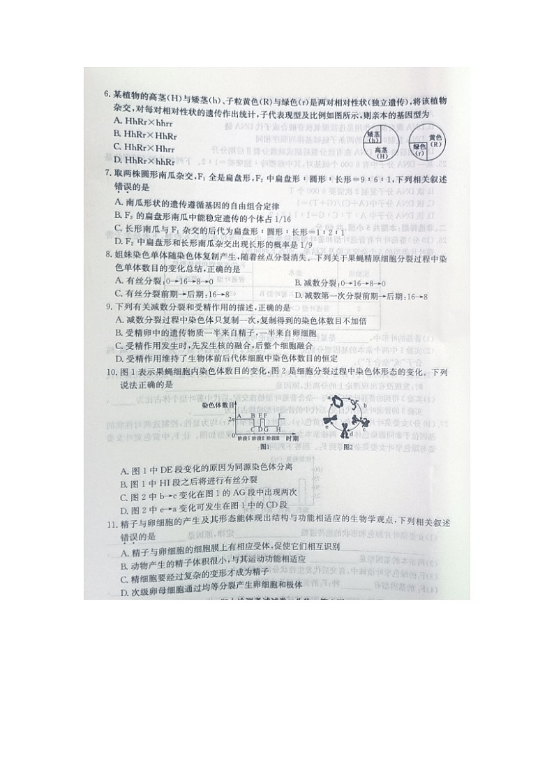 2023届陕西省蓝田县高二上学期生物期中考试题第2页