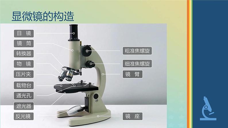 新教材2023年秋高中生物1.2.2实验使用高倍镜观察几种细胞课件新人教版必修1第2页