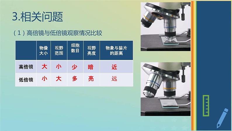 新教材2023年秋高中生物1.2.2实验使用高倍镜观察几种细胞课件新人教版必修1第6页