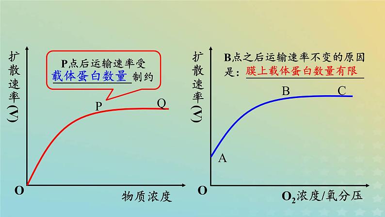新教材2023年秋高中生物4.2主动运输与胞吞胞吐课件新人教版必修1第7页